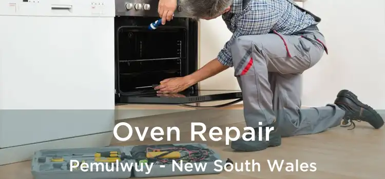 Oven Repair Pemulwuy - New South Wales