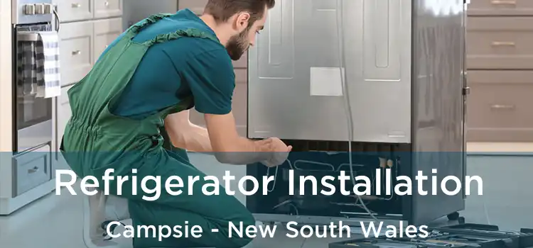 Refrigerator Installation Campsie - New South Wales