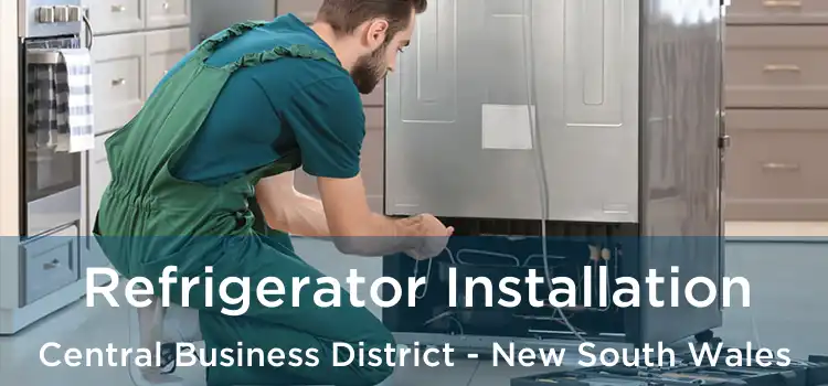 Refrigerator Installation Central Business District - New South Wales