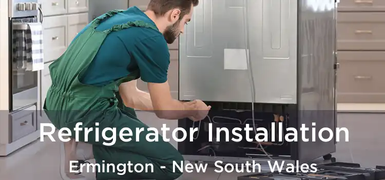 Refrigerator Installation Ermington - New South Wales