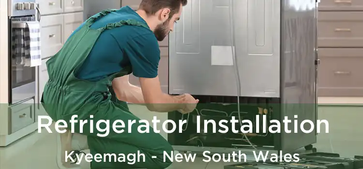 Refrigerator Installation Kyeemagh - New South Wales