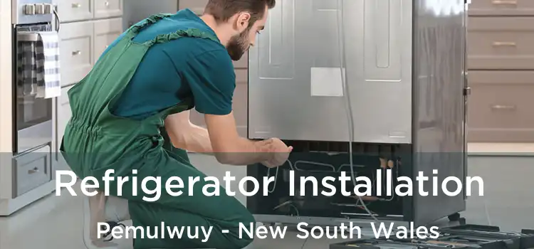 Refrigerator Installation Pemulwuy - New South Wales