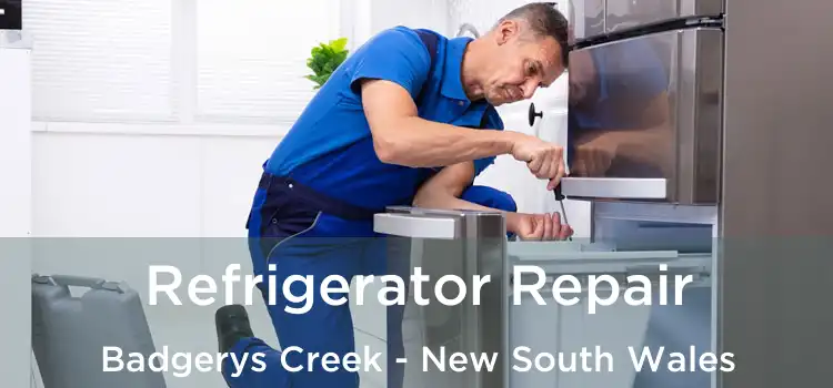 Refrigerator Repair Badgerys Creek - New South Wales