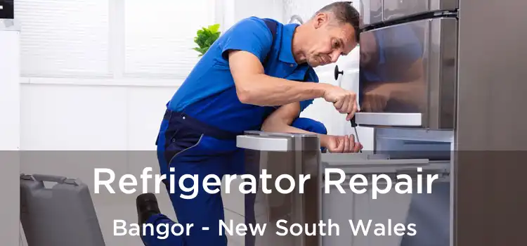 Refrigerator Repair Bangor - New South Wales