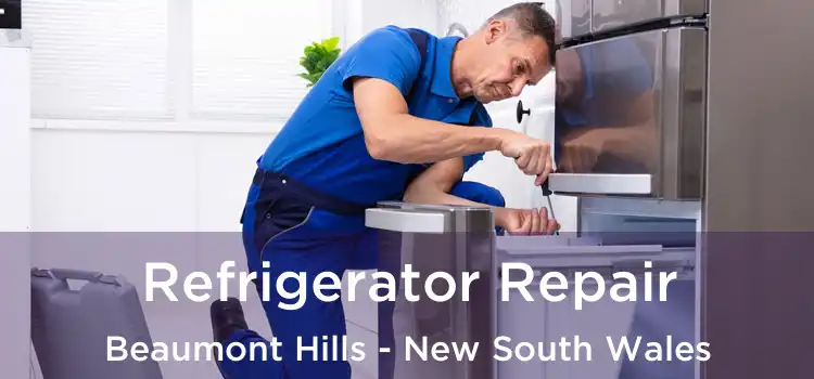 Refrigerator Repair Beaumont Hills - New South Wales