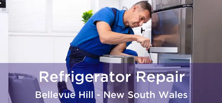 Refrigerator Repair Bellevue Hill - New South Wales
