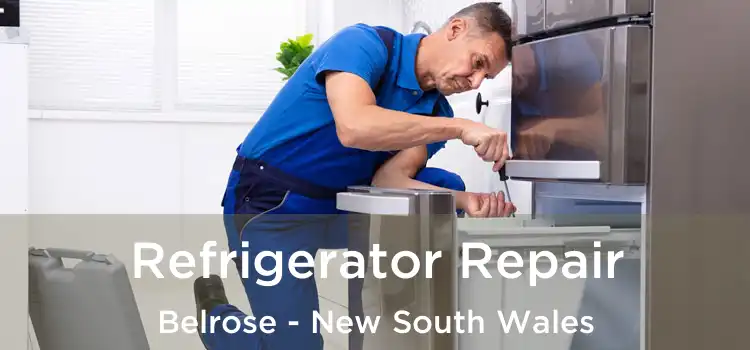Refrigerator Repair Belrose - New South Wales