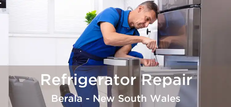 Refrigerator Repair Berala - New South Wales
