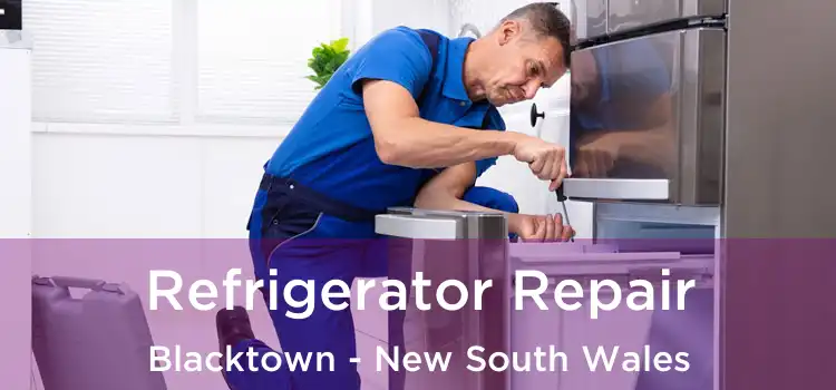 Refrigerator Repair Blacktown - New South Wales