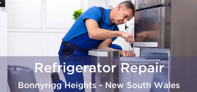 Refrigerator Repair Bonnyrigg Heights - New South Wales