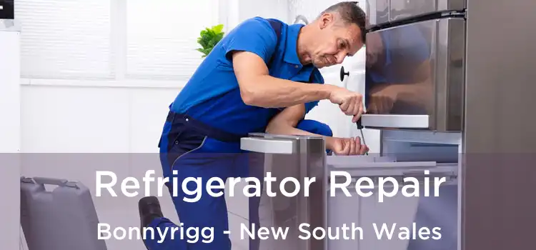 Refrigerator Repair Bonnyrigg - New South Wales