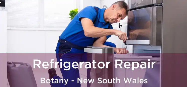 Refrigerator Repair Botany - New South Wales