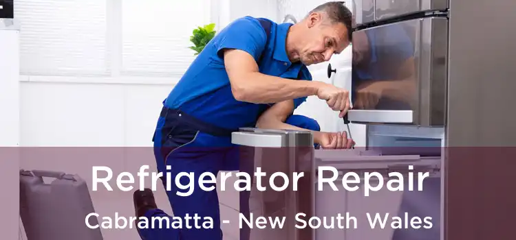 Refrigerator Repair Cabramatta - New South Wales