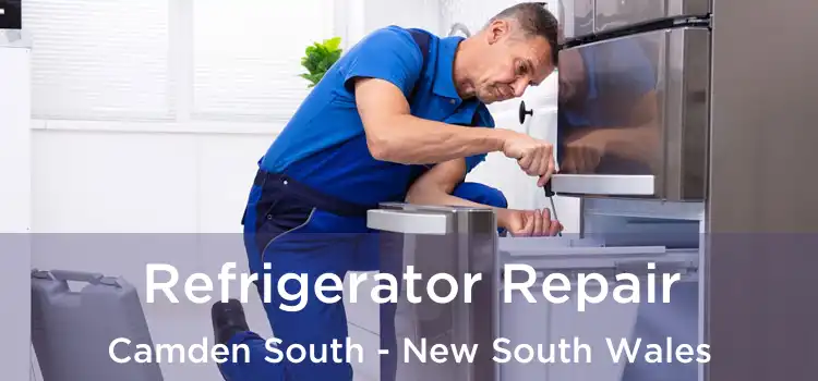 Refrigerator Repair Camden South - New South Wales