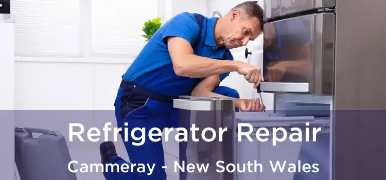 Refrigerator Repair Cammeray - New South Wales