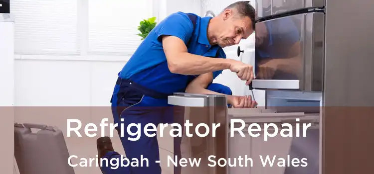 Refrigerator Repair Caringbah - New South Wales