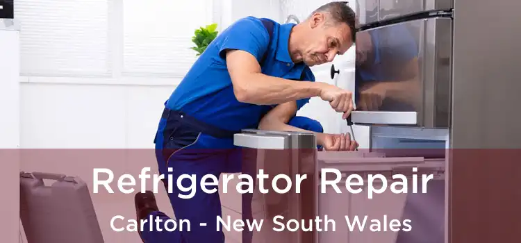 Refrigerator Repair Carlton - New South Wales