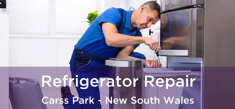 Refrigerator Repair Carss Park - New South Wales