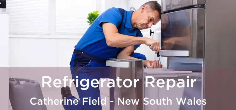 Refrigerator Repair Catherine Field - New South Wales