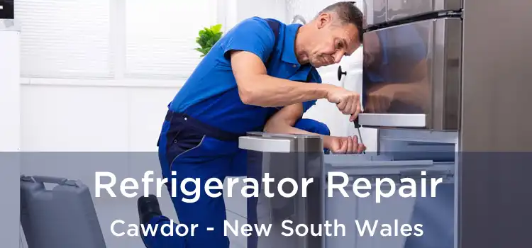 Refrigerator Repair Cawdor - New South Wales