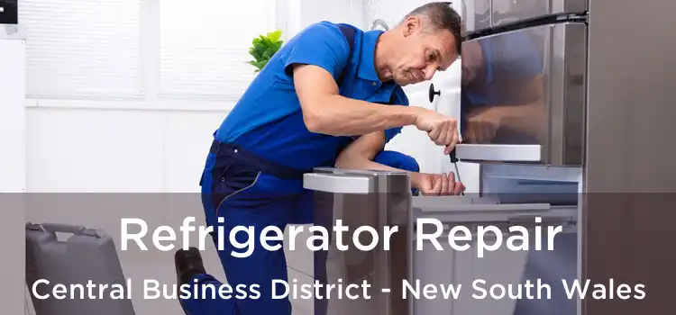 Refrigerator Repair Central Business District - New South Wales