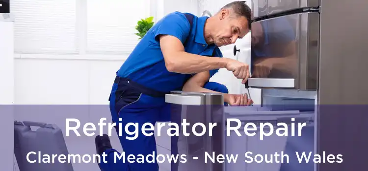 Refrigerator Repair Claremont Meadows - New South Wales