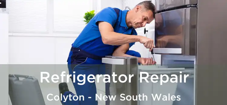 Refrigerator Repair Colyton - New South Wales