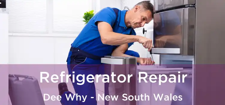 Refrigerator Repair Dee Why - New South Wales