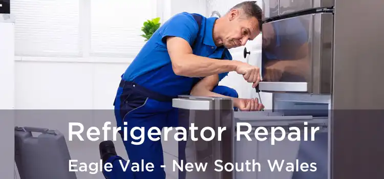 Refrigerator Repair Eagle Vale - New South Wales