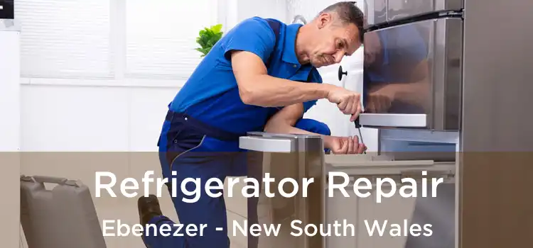 Refrigerator Repair Ebenezer - New South Wales