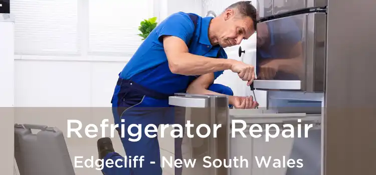 Refrigerator Repair Edgecliff - New South Wales