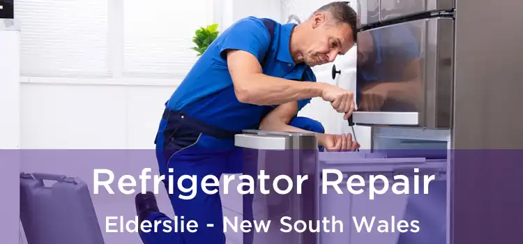 Refrigerator Repair Elderslie - New South Wales