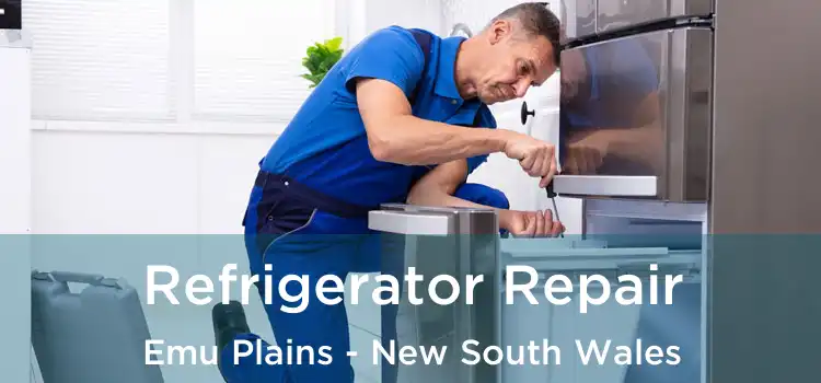 Refrigerator Repair Emu Plains - New South Wales