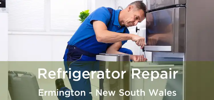 Refrigerator Repair Ermington - New South Wales