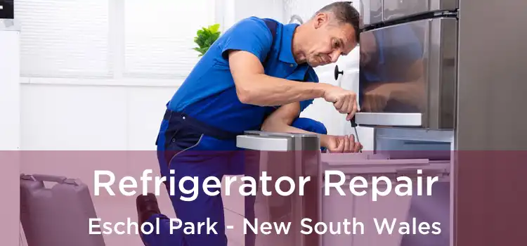 Refrigerator Repair Eschol Park - New South Wales