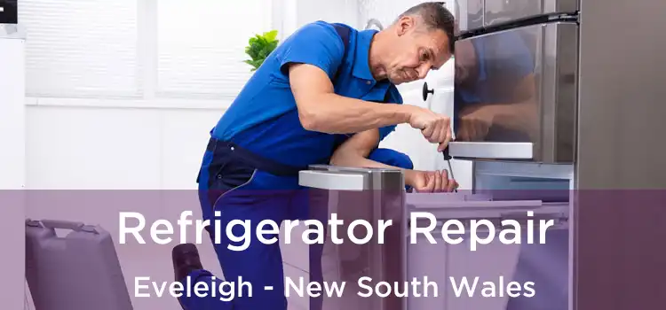 Refrigerator Repair Eveleigh - New South Wales