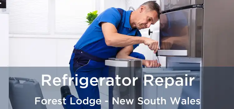 Refrigerator Repair Forest Lodge - New South Wales