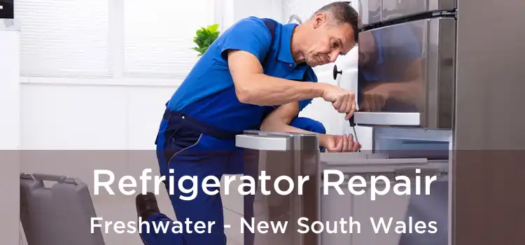 Refrigerator Repair Freshwater - New South Wales