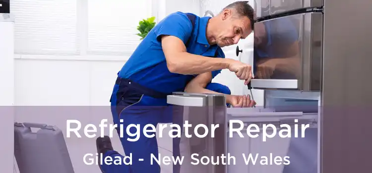 Refrigerator Repair Gilead - New South Wales