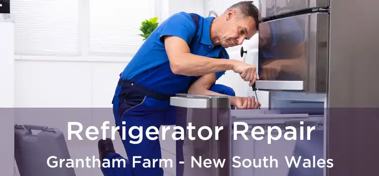 Refrigerator Repair Grantham Farm - New South Wales