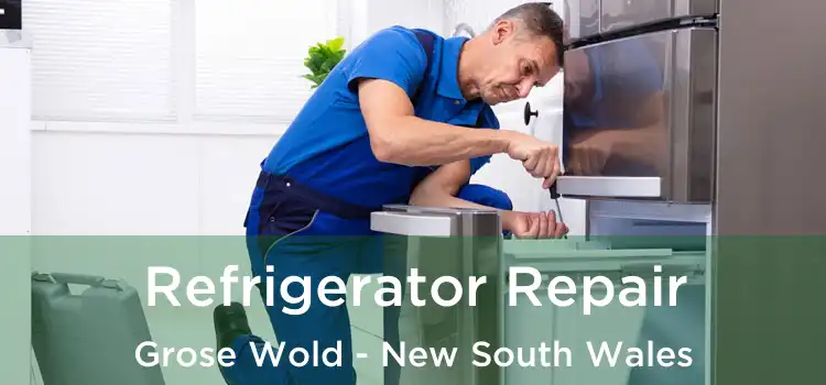 Refrigerator Repair Grose Wold - New South Wales