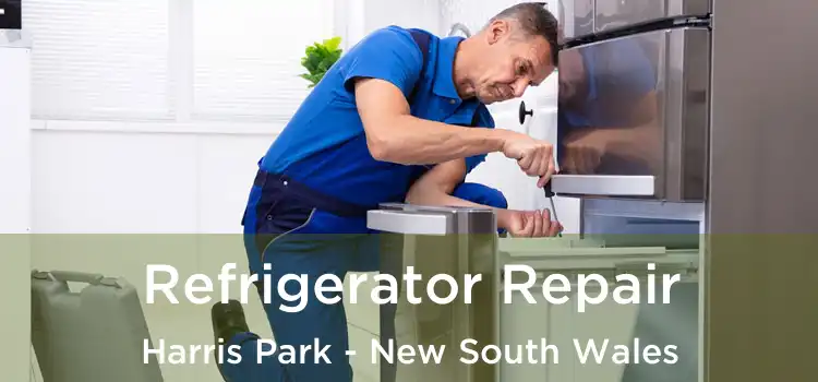Refrigerator Repair Harris Park - New South Wales