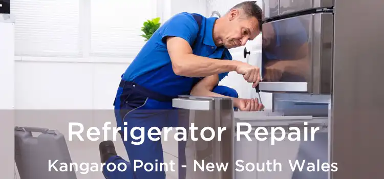 Refrigerator Repair Kangaroo Point - New South Wales