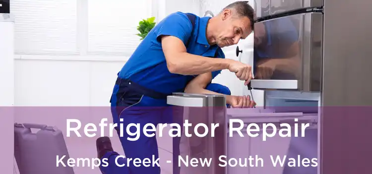 Refrigerator Repair Kemps Creek - New South Wales