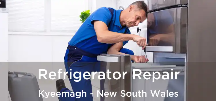 Refrigerator Repair Kyeemagh - New South Wales
