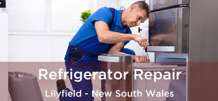 Refrigerator Repair Lilyfield - New South Wales