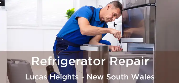 Refrigerator Repair Lucas Heights - New South Wales