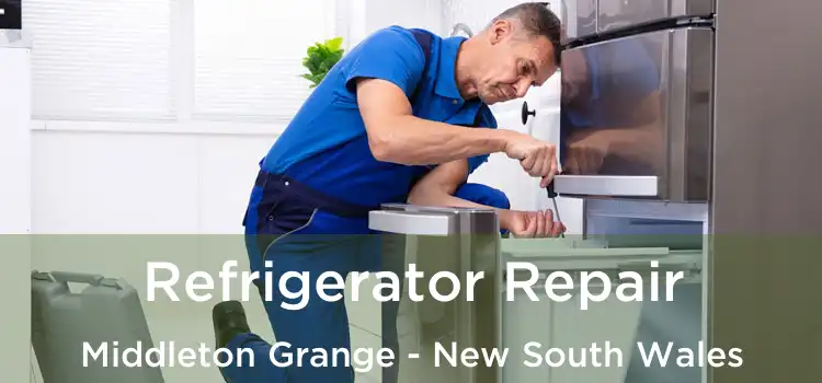Refrigerator Repair Middleton Grange - New South Wales