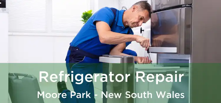 Refrigerator Repair Moore Park - New South Wales
