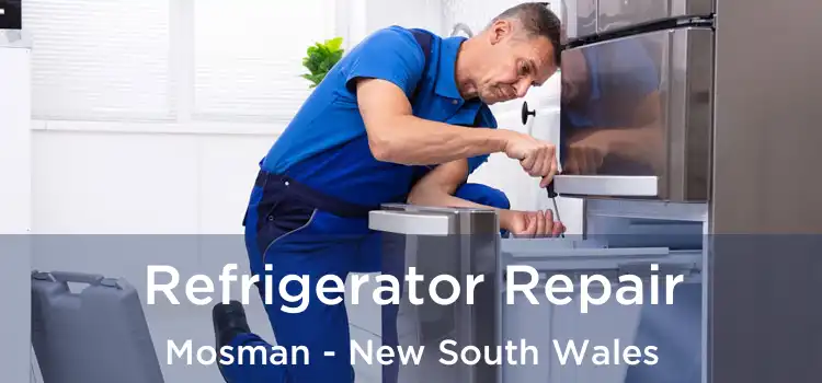 Refrigerator Repair Mosman - New South Wales